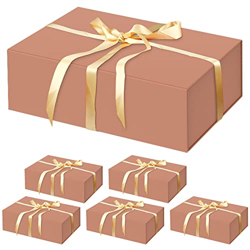 6 Pack Rose Gold-13.8x9x4.3