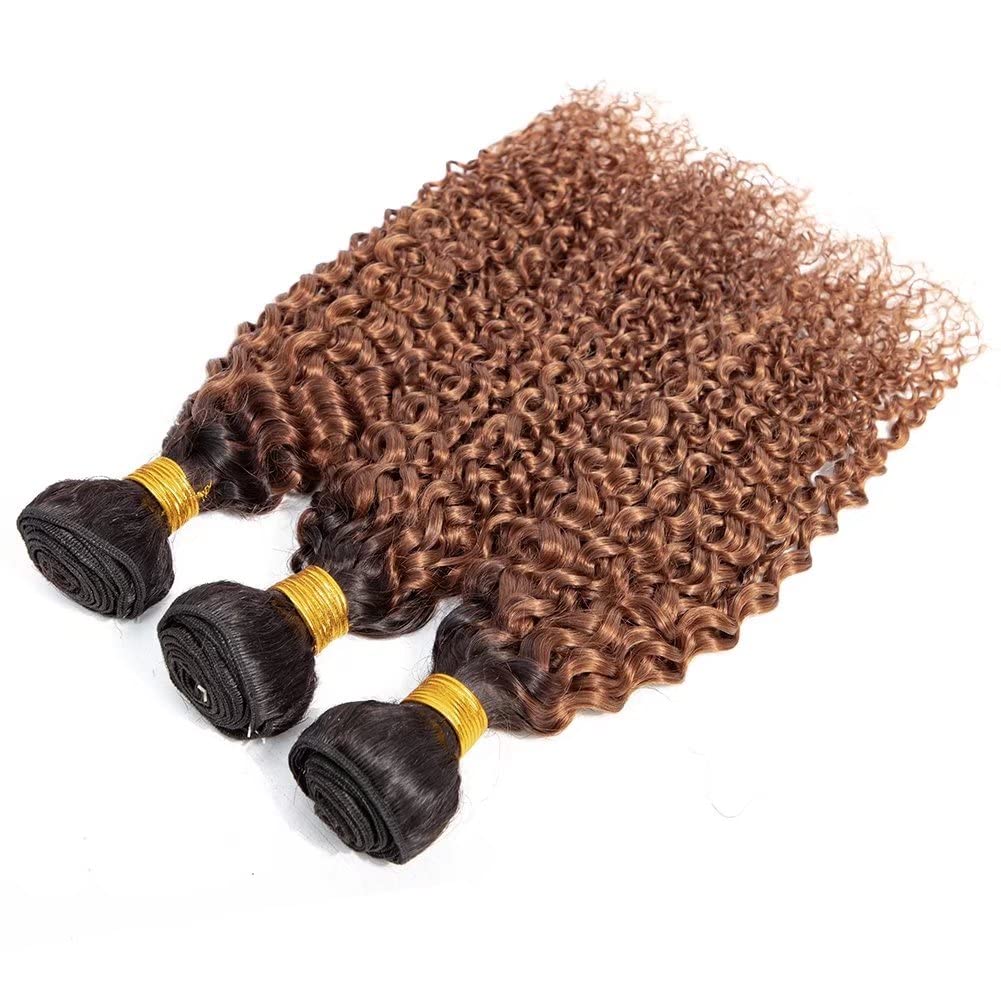 10 12 14 Inch Brazilian Curly Virgin Hair Bundles - Ombre 2 Tone 1B/30 Black to Brown Deep Curly Human Hair Extensions | Unprocessed Kinky Curly Weave Bundles for Natural Hairstyles & Protective Styling