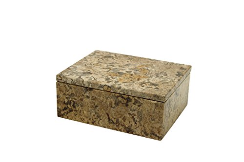 Fossil Stone