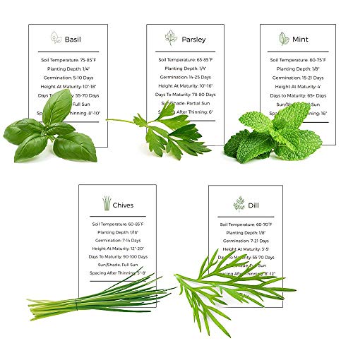 Basil, Parsley, Mint, Chives & Dill