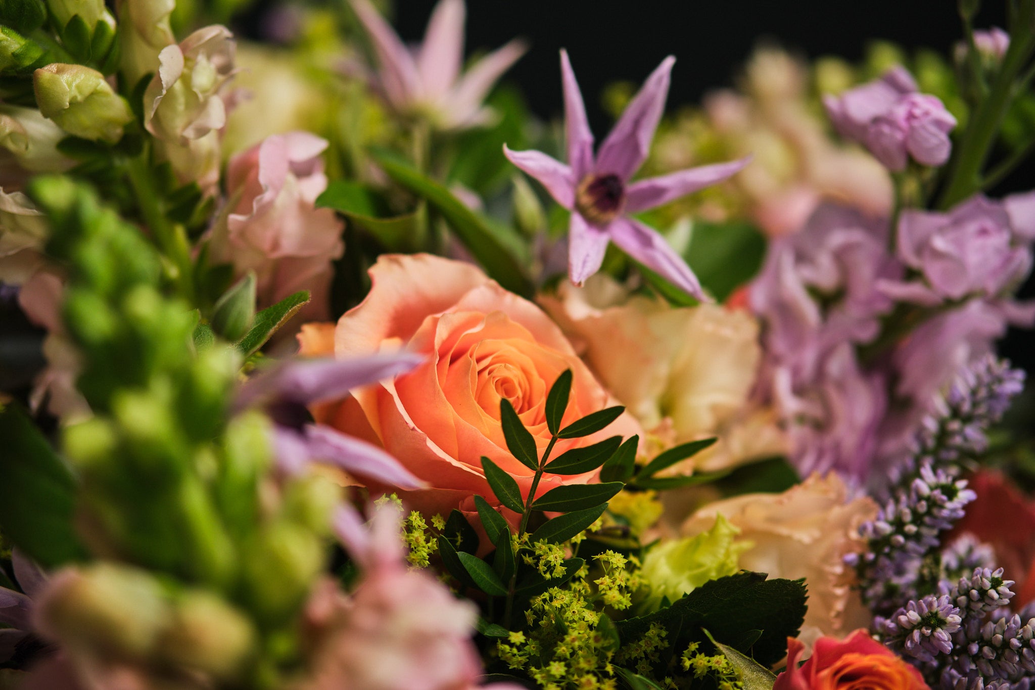 The Garden Posy - Fresh & Elegant Floral Arrangements for Home Decor, Weddings & Special Events | Perfect for Gifts, Centerpieces & DIY Bouquets