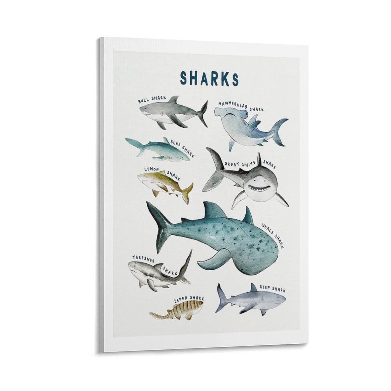 Dinosaur & Whale Shark Marine Animal Nursery Canvas Wall Art - 8x12 Inch (20x30cm) Kids Room Decor, Educational Canvas Print for Baby Bedroom, Living Room - Perfect for Nursery Themes & Ocean-Lover's Home Decor