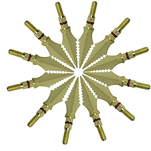 Golden 12 pack-5