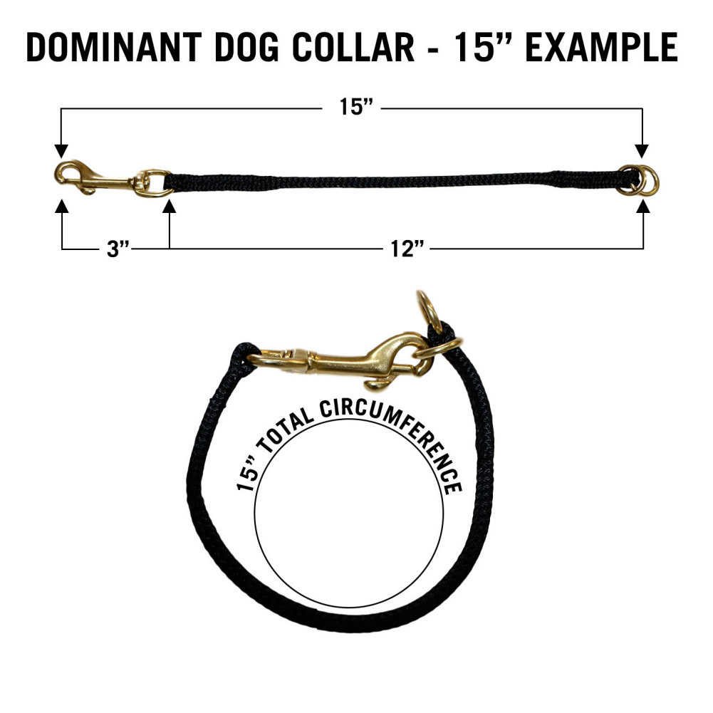 Premium Nylon Dog Choke Collar - Light Blue, 30 Inch Adjustable Training Collar for Medium to Large Dogs - Perfect for Obedience Training, Walking & Outdoor Adventures