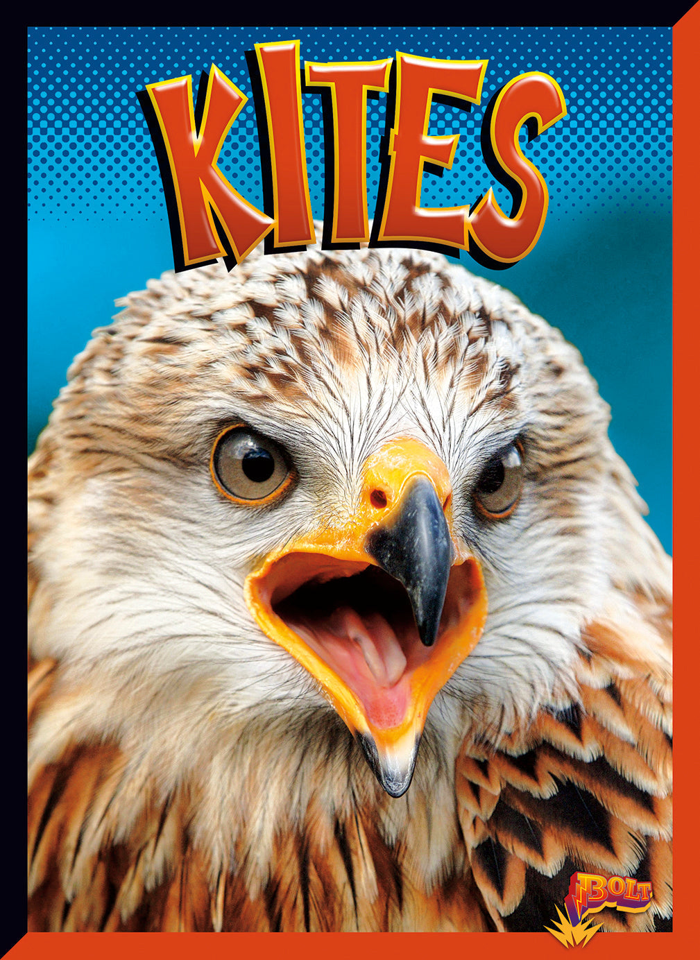 Best Selling Kites for Kids & Adults - 9781623105556 - Perfect for Beach, Park & Outdoor Family Fun
