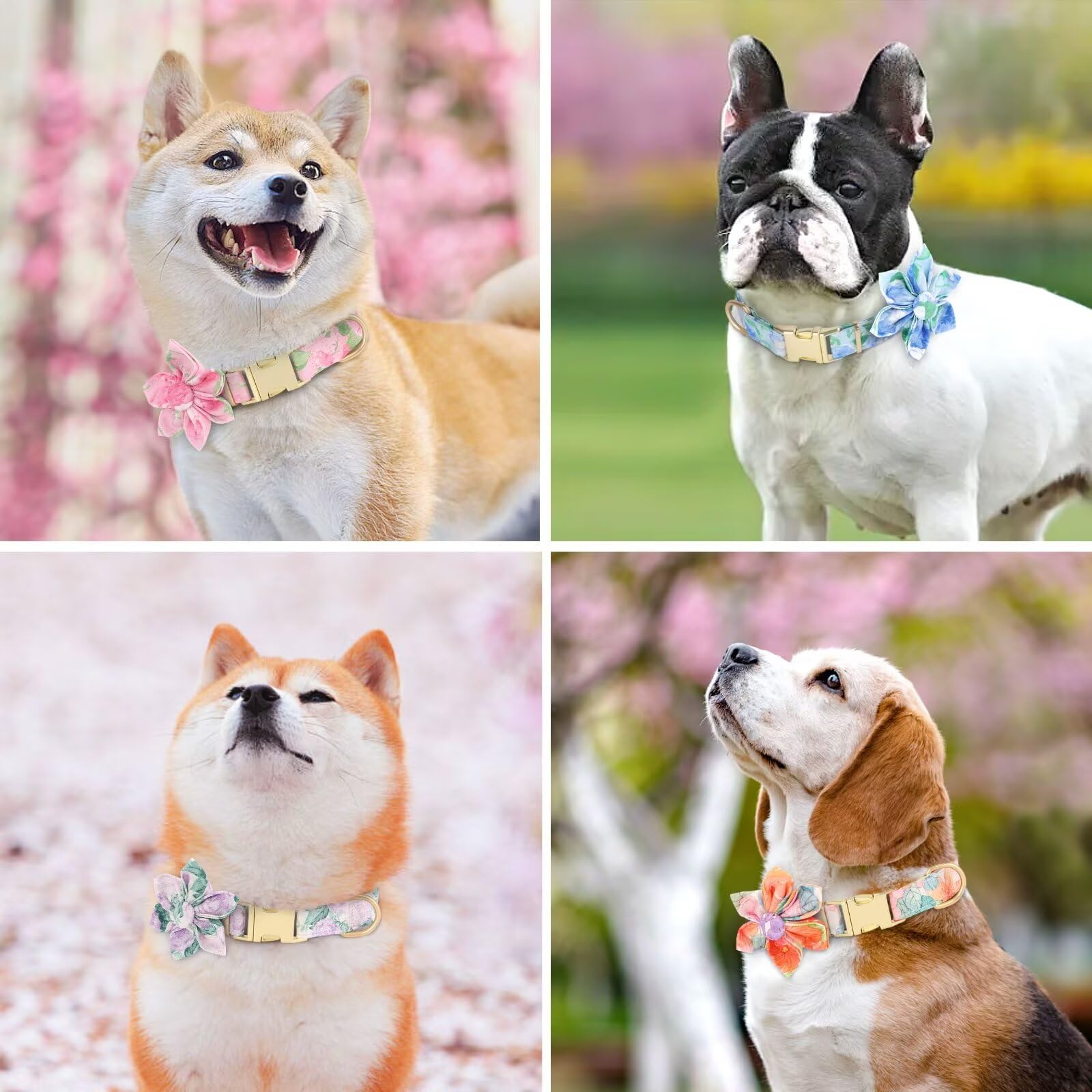 Beirui Floral Dog Collar for Small Medium Large Dogs - Soft Blue Pet Collar with Spring Flower Patterns, Cute Girl Dog Accessories for Female Puppies | Perfect for Daily Walks, Pet Photos & Spring Outfits