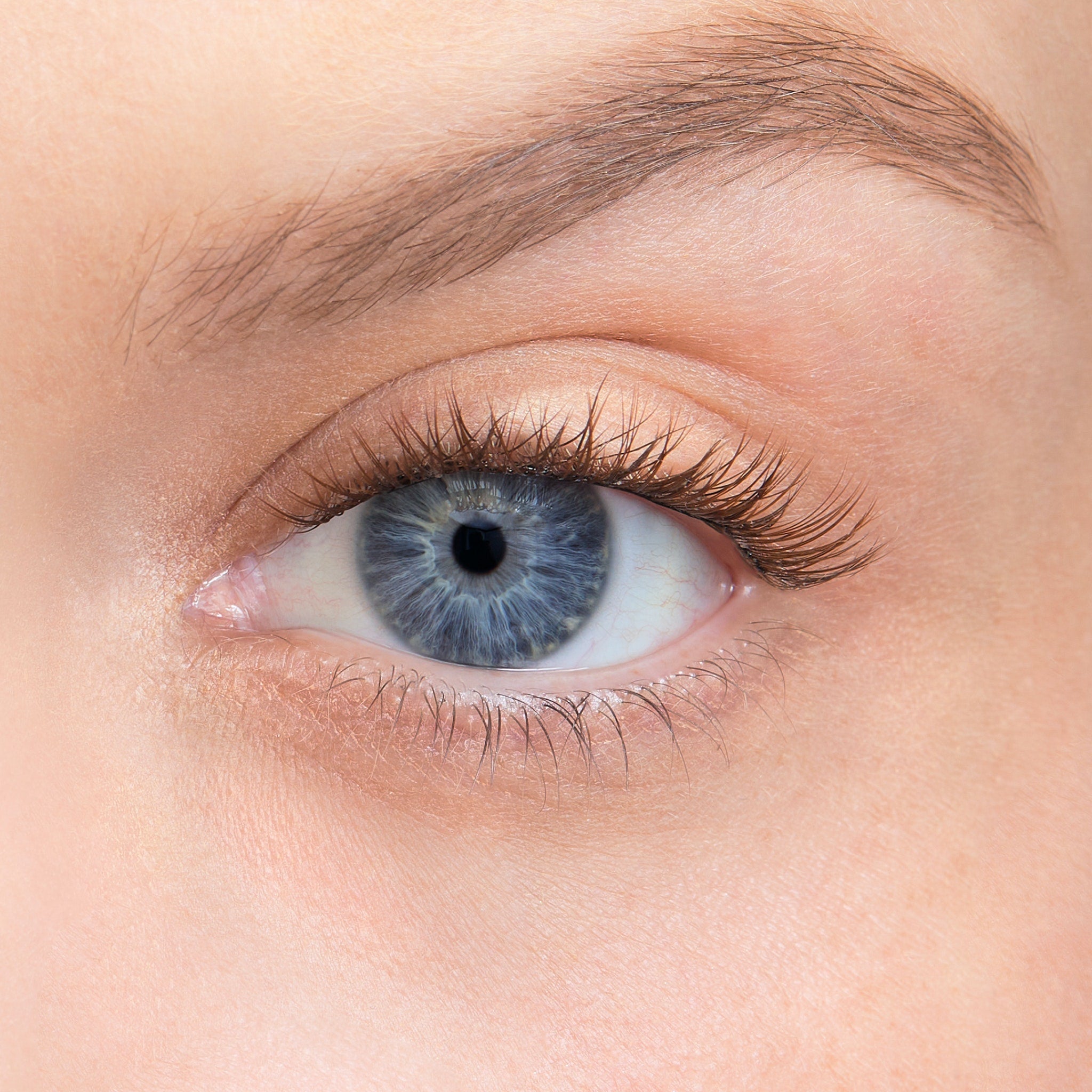 Amplify Core Gossamer® Lash - Volumizing Mascara for Long & Thick Lashes | Perfect for Daily Wear & Special Occasions