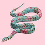 Snake Pink