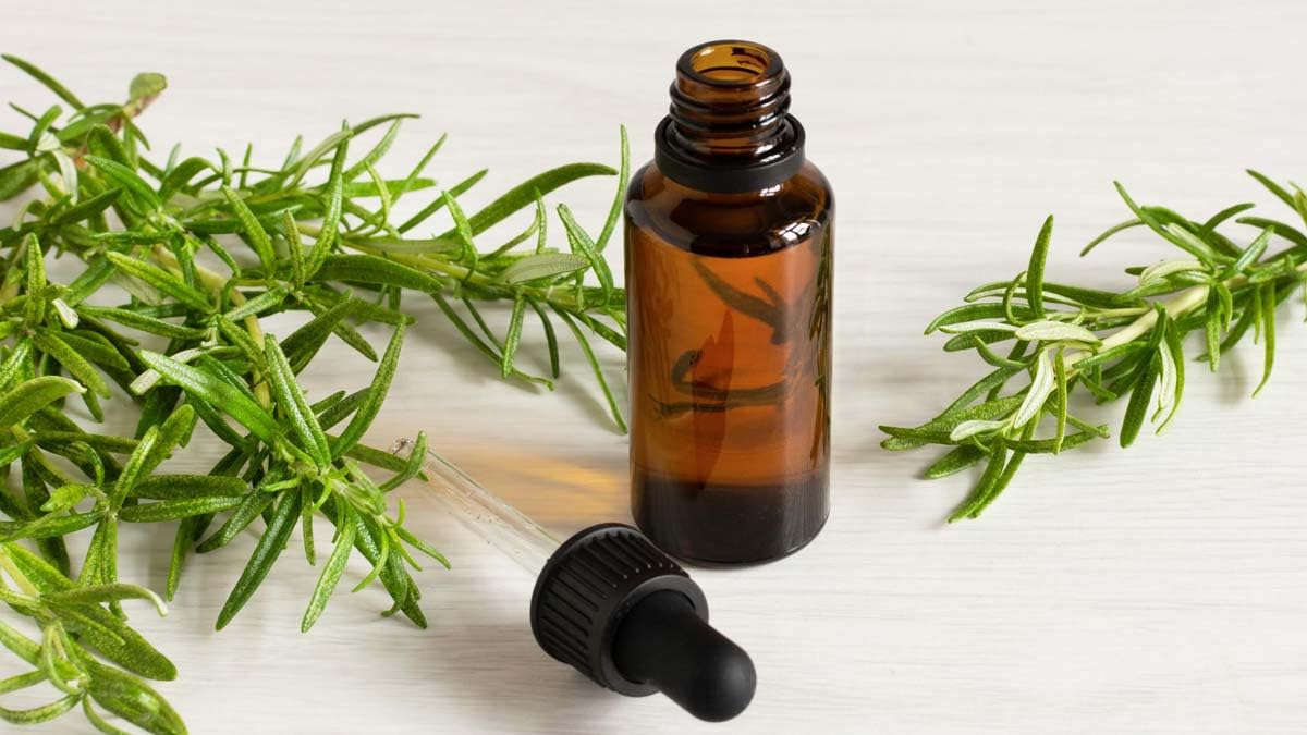 100% Pure Organic Rosemary Essential Oil for Hair Growth & Skin Care | Natural Hair Fall Control & Nourishment | 15ml | Perfect for Aromatherapy, DIY Beauty & Scalp Massage