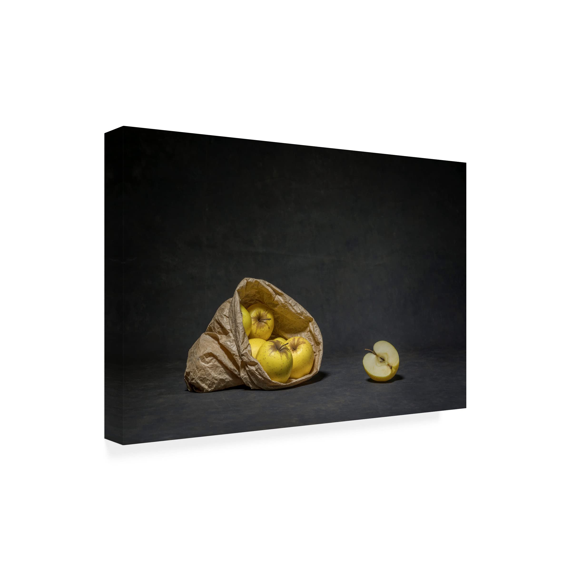Trademark Fine Art 'Paper Bag' Canvas Print by Christophe Verot - Modern Wall Art for Living Room, Bedroom & Office Decor