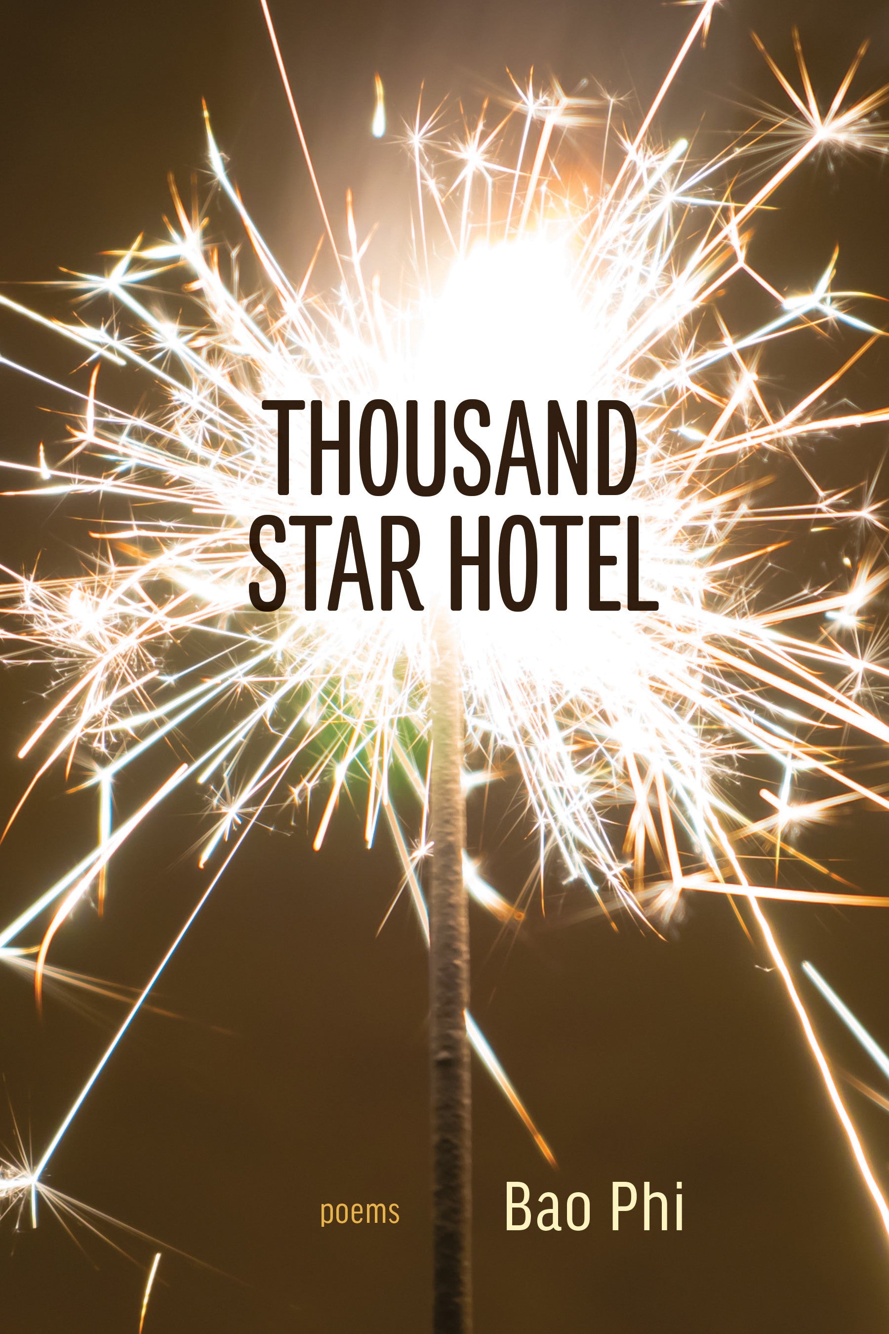 Luxury Thousand Star Hotel - 5-Star Accommodations & Premium Amenities for Business Travelers & Vacation Getaways
