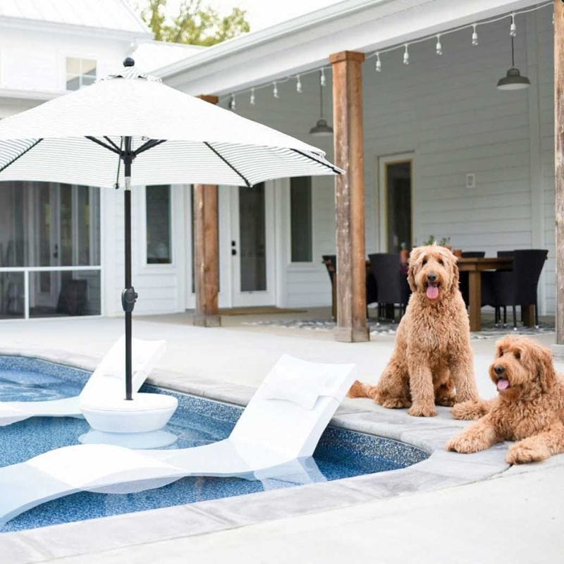 Ledge Lounger Signature Chaise - Premium Pool Lounge Chair for Outdoor Swimming Pool, Patio & Backyard Relaxation | Waterproof & UV-Resistant Pool Furniture for Ultimate Comfort