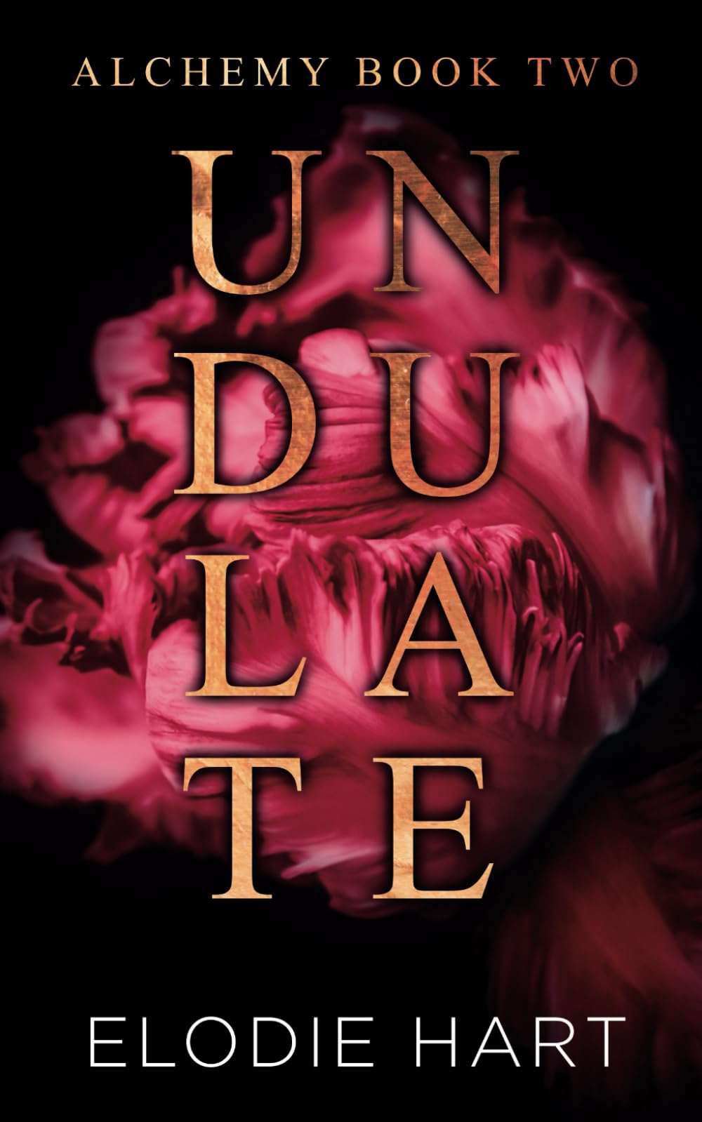 Undulate: A Hot Age Gap Single Dad Romance Novel - Alchemy Series | Perfect for Beach Reads, Book Club Picks & Contemporary Romance Lovers
