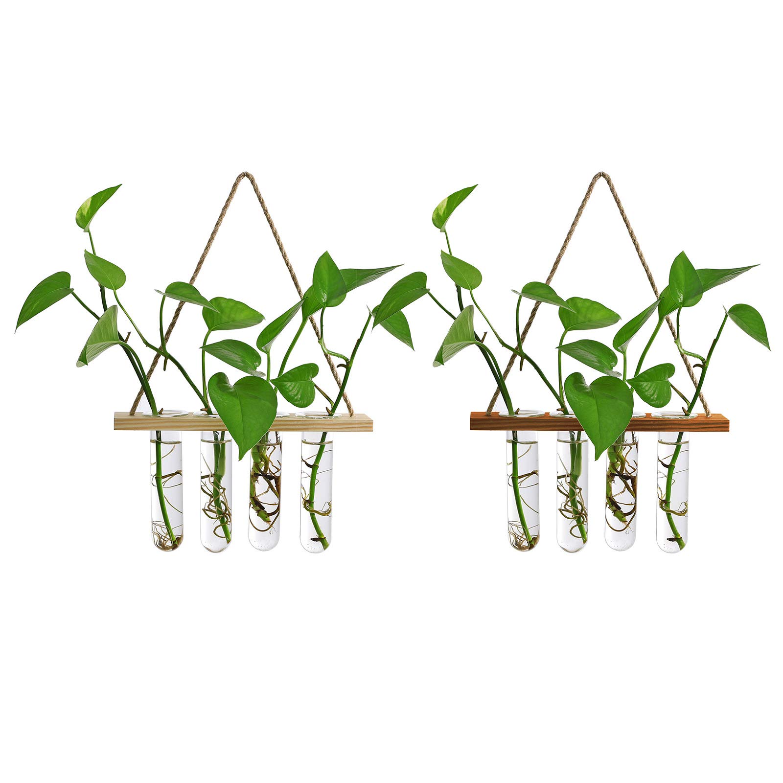 DRYEN 2 Pack Wall Mounted Glass Planter Set - Hanging Hydroponic Test Tube Vase with Wooden Stand for Plants, Succulents, Air Plants | Retro Terrarium Decor for Home, Office, Garden, Balcony & Indoor Gardening