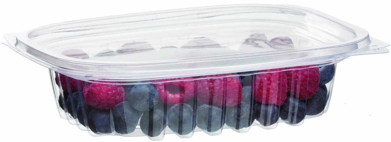 ECO PRODUCTS Compostable 8oz Clear Rectangular Deli Containers With Lids - Case of 300 | PLA Plastic Made from Renewable Plant Material | Perfect for Meal Prep, Takeout, Food Storage & Eco-Friendly Catering