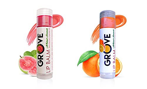 **Grove Hydrating Lip Balm Stick with Shea Butter, Coconut Oil & Vitamin E - Moisturizing Lip Care for Dry & Chapped Lips - Natural Lip Butter for Men & Women - Guava Flavor (6g, Pack of 2) - Perfect for Travel, Daily Use & Gifts**