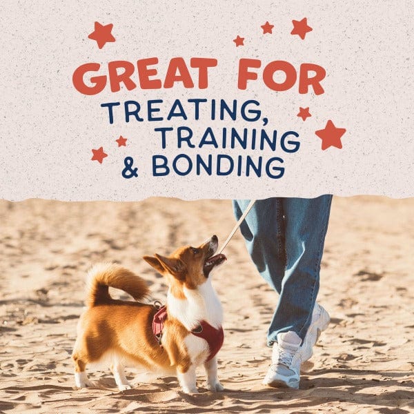 Natural Balance Crunchy Dog Biscuits with Real Salmon - Small Breed Recipe, 8oz - Healthy Treats for Training & Dental Care
