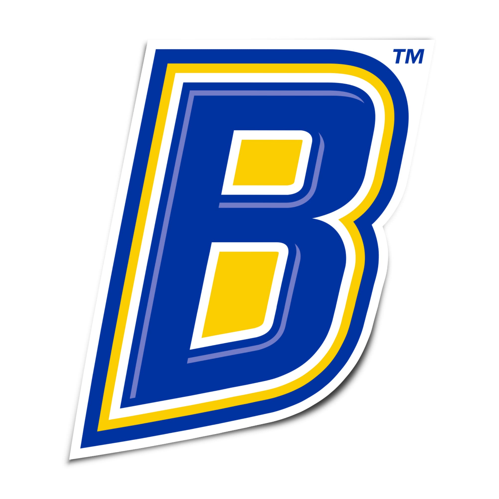 Desert Cactus Cal State Bakersfield University Sticker - CSUB Runners Vinyl Decal for Laptop, Water Bottle, Car & Scrapbook - California Roadrunners College Pride Decal - Perfect for School Spirit, Gifts & DIY Crafts (IND 00033)