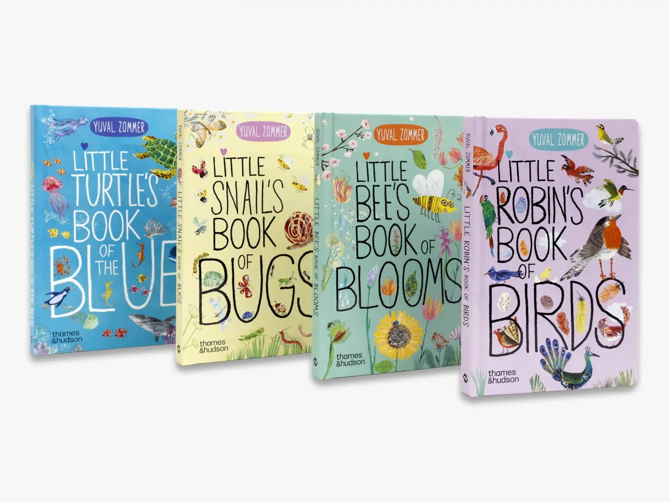 Little Turtle's Book of the Blue - The Big Book Series | Ocean Adventure Storybook for Kids | Perfect for Bedtime Reading & Classroom Learning