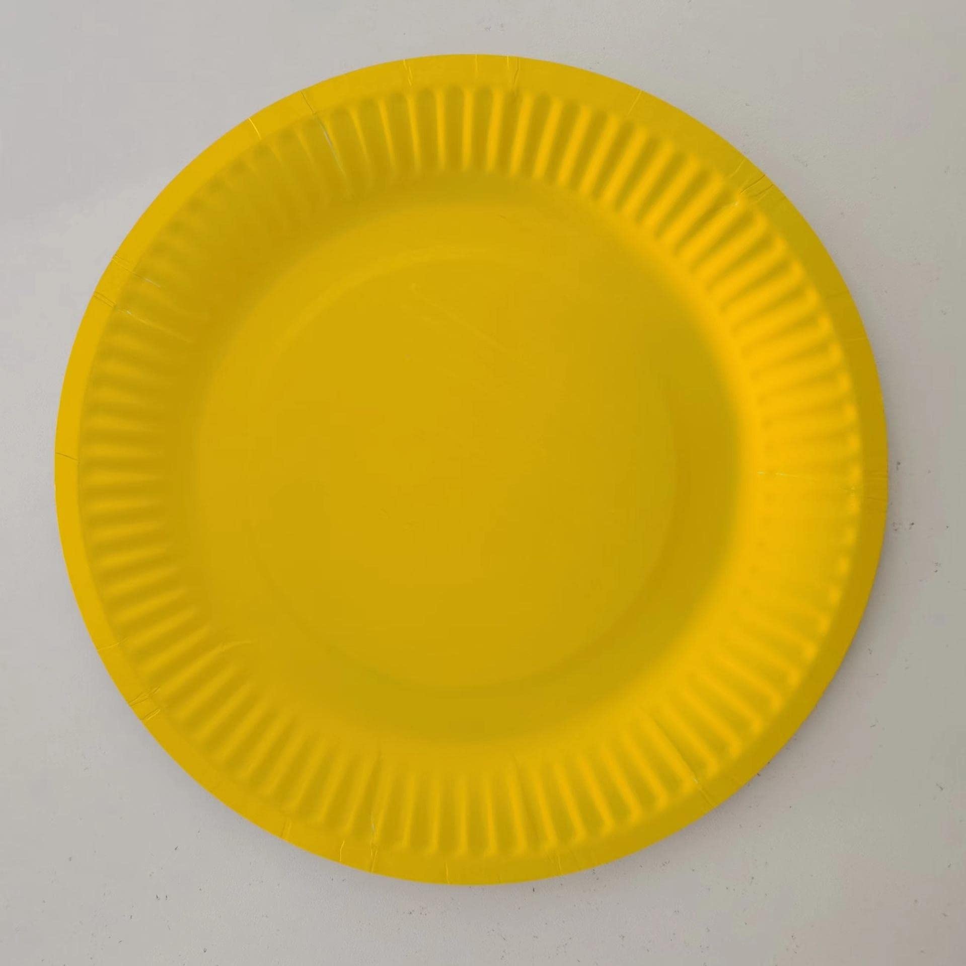 BAGNCASE 9 Inch White Disposable Paper Plates for Parties - DIY Decorative Dinner Plates for Baby Birthday, Wedding & Events (Orange) - Perfect for Home, Office & Outdoor Gatherings