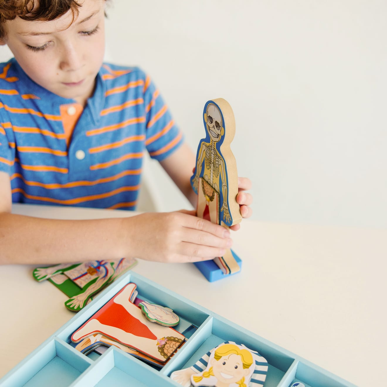 Magnetic Human Body Anatomy Toy Set - STEM Educational Science Kit for Kids - Hands-On Learning for Classroom & Homeschool Use