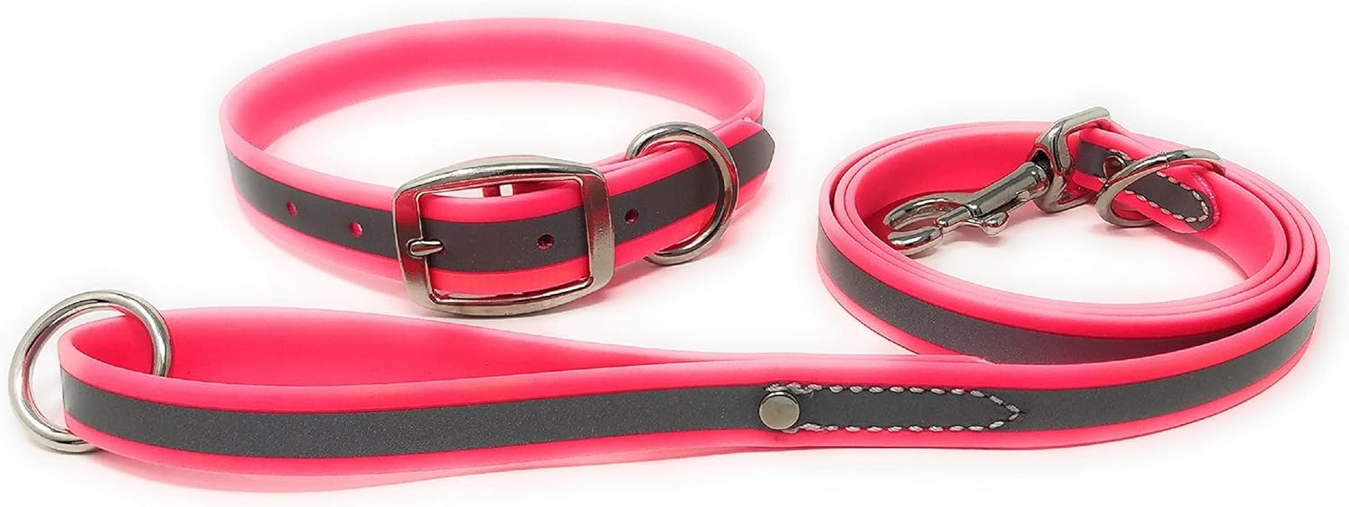 Regal Dog Products Medium Pink Reflective Dog Collar and Leash Set - Waterproof Biothane Dog Collar with Heavy Duty Double Buckle, D Ring & 5ft Leash - Perfect for Medium & Large Dogs - Ideal for Night Walks, Outdoor Adventures and Training Sessions