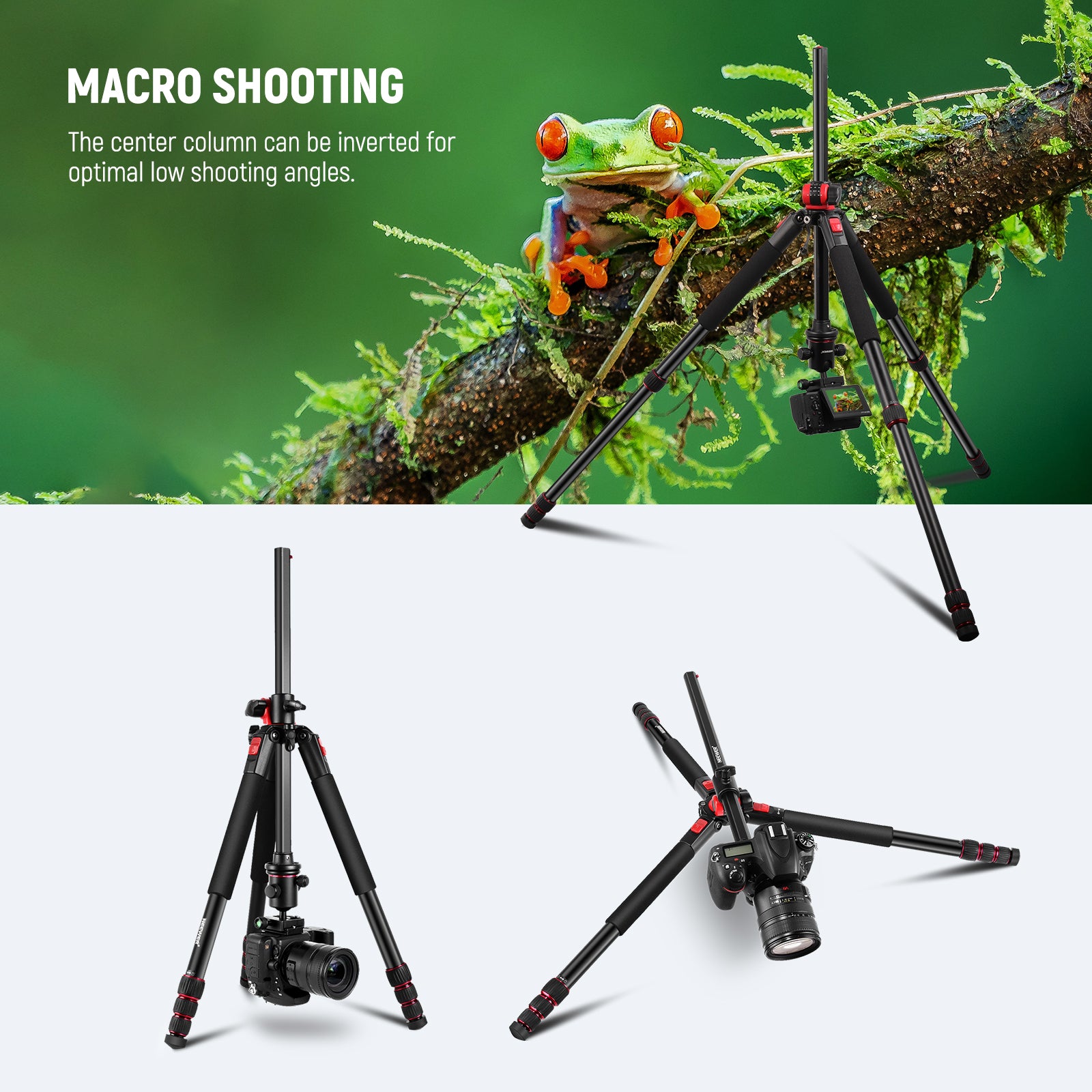 NEEWER N284L+G0 Professional Camera Tripod Monopod with 360° Ball Head for DSLR, Mirrorless Cameras - Perfect for Travel, Vlogging, Photography & Video Shooting