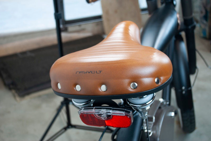 Rayvolt Clubman - Stylish and Durable Electric Bike for Urban Commuting | Perfect for City Rides, Eco-Friendly Transportation & Outdoor Adventures
