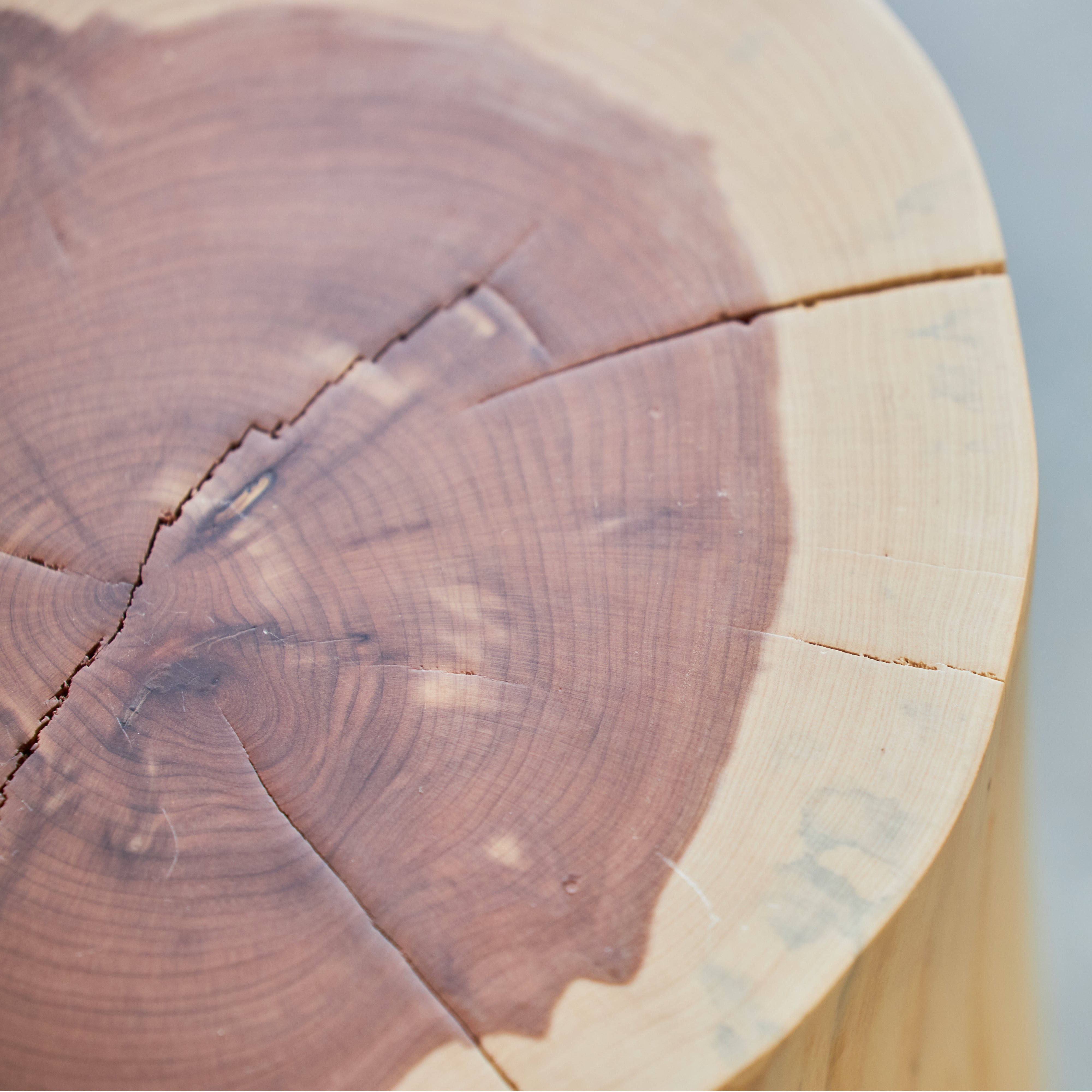 Rustic Cedar Stump Side Table - Natural Wood End Table for Living Room, Bedroom, or Outdoor Patio Decor