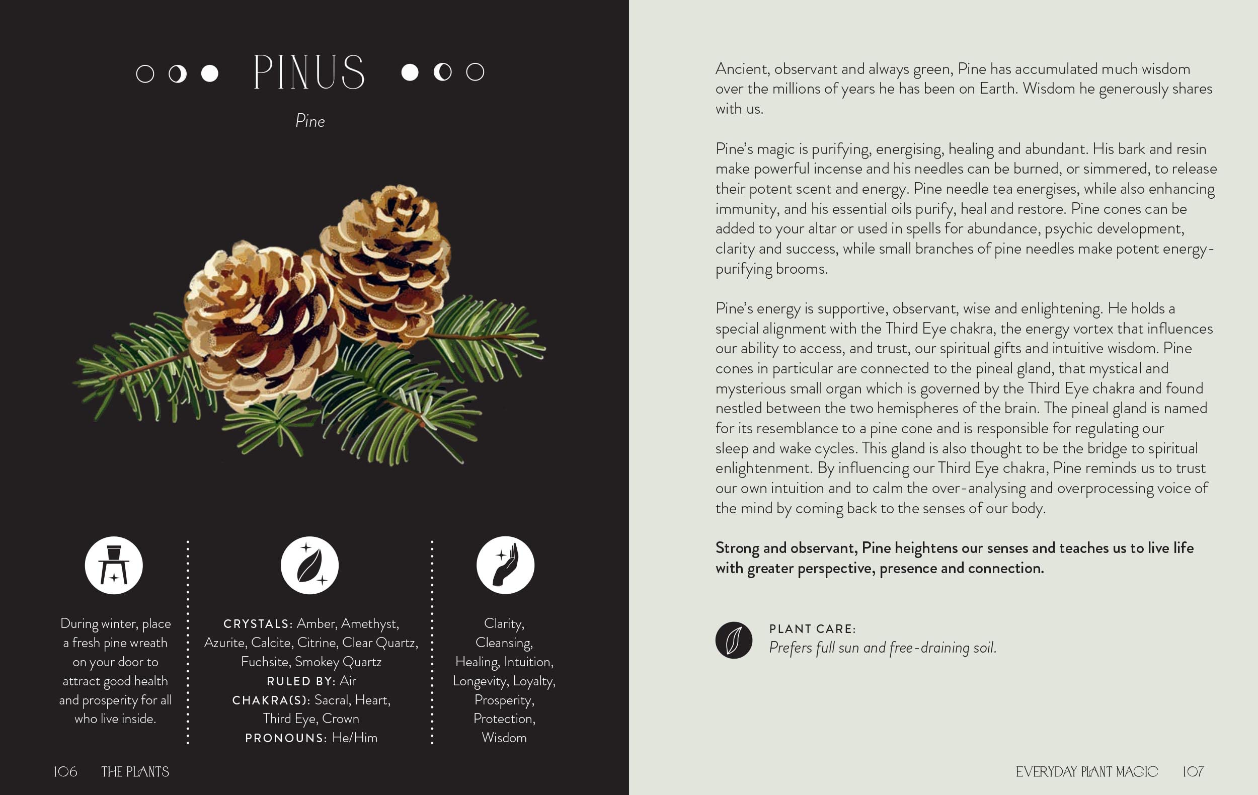 Everyday Plant Magic: Harness the Healing Power of Nature to Transform Your Life | Indoor Gardening, Home Decor & Wellness Lifestyle