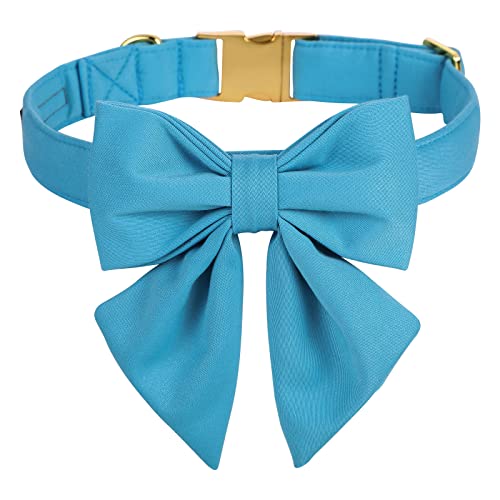 Bow-Sky blue