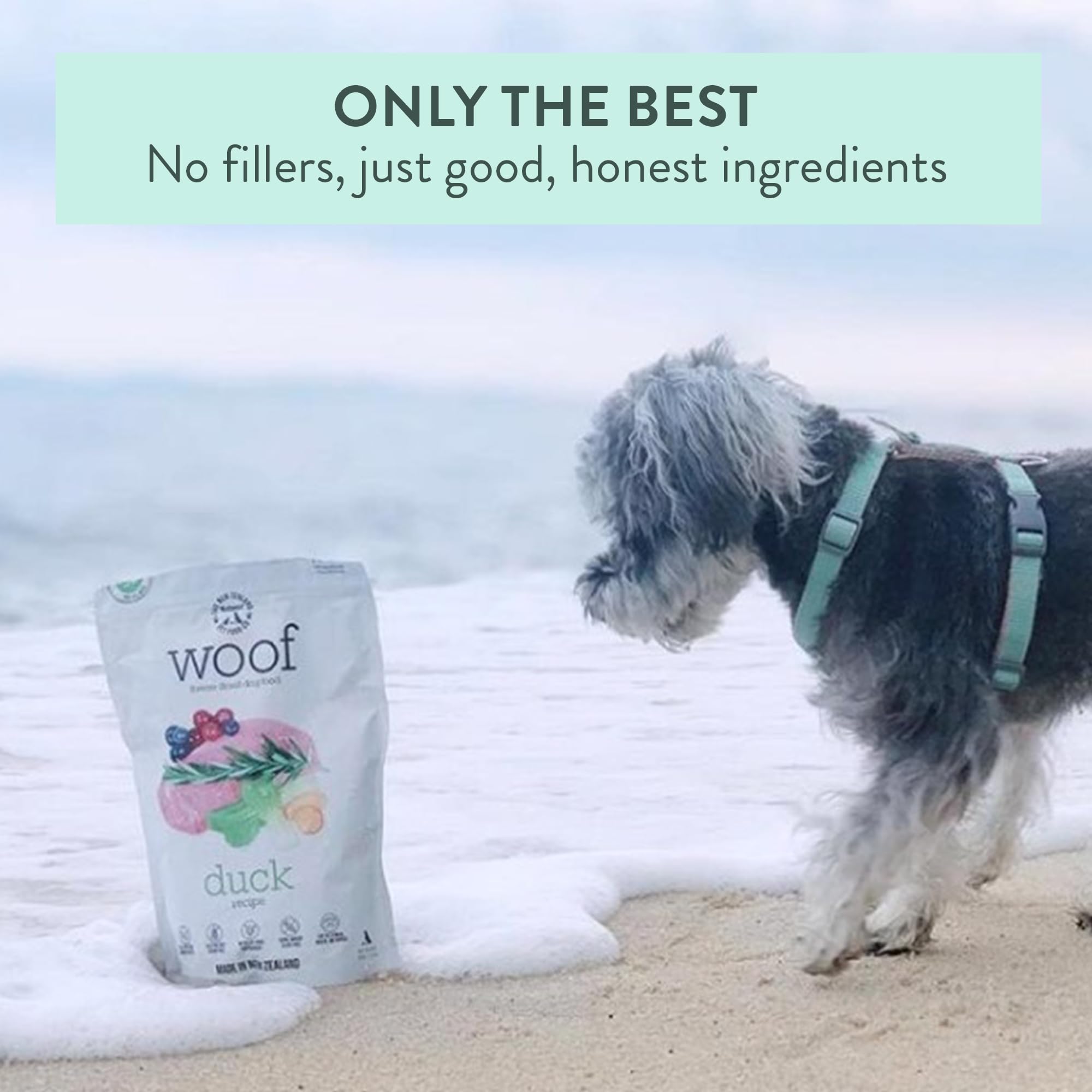 Premium Freeze Dried Duck Dog Food - High Protein Natural Dog Treats & Meal Topper for Small & Large Breeds | 2.2 lb | Perfect for Training, Travel & Digestive Health