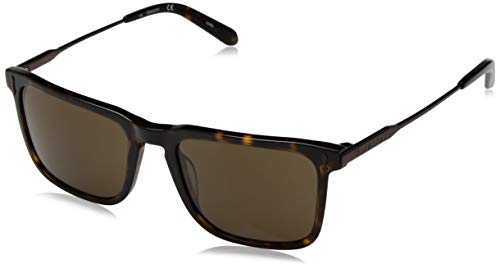 Tortoise/Brown