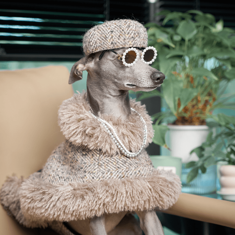 Stylish Dog Beret Hat for Small & Medium Breeds - Perfect for Pet Costumes, Photo Shoots & Special Occasions