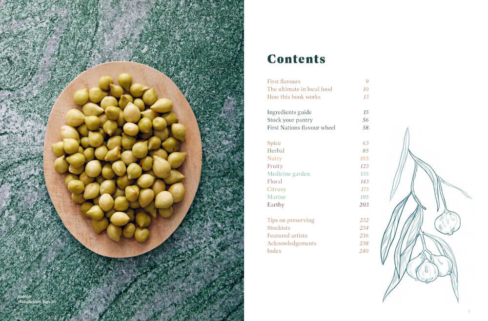 Authentic First Nations Food Companion - Traditional Native American Cooking & Culinary Guide | Perfect for Cultural Recipes, Heritage Meals & Indigenous Cuisine Exploration