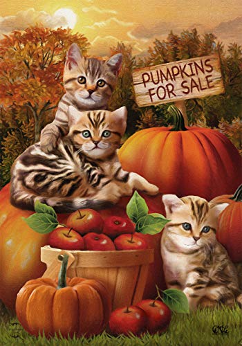 08 - Fall Kittens