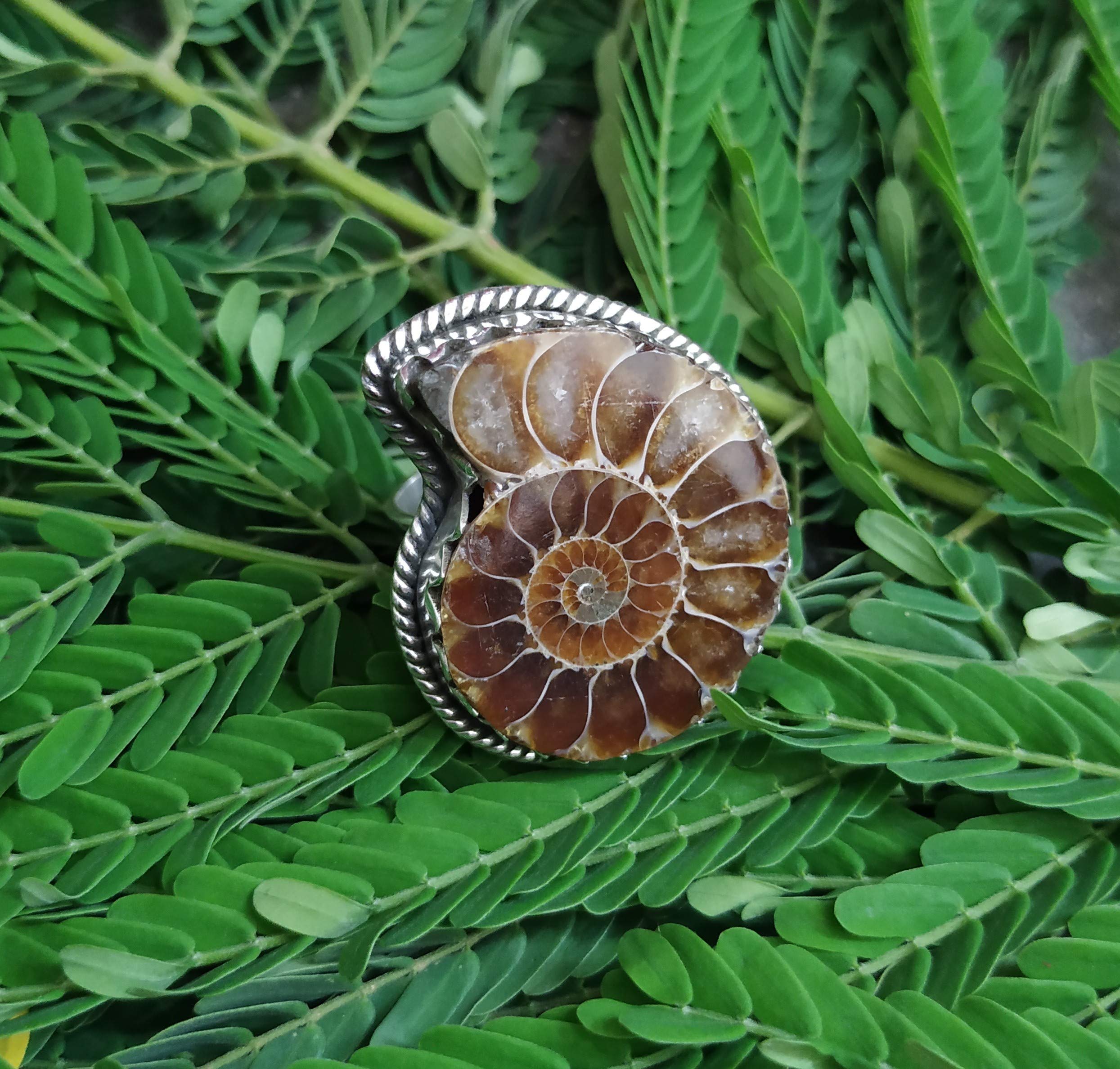 **Genuine Ammonite Fossil Sterling Silver Ring - Handmade Boho Sea Shell Jewelry for Women, Ocean Beach Wedding, Meditation & Promise Ring - Perfect for Boho Chic, Vintage Style & Spiritual Gifts**