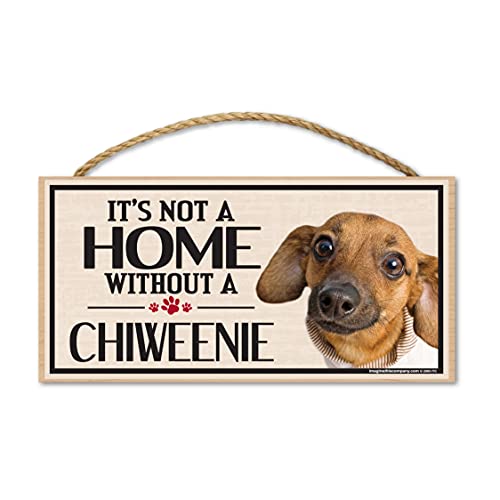 Chiweenie