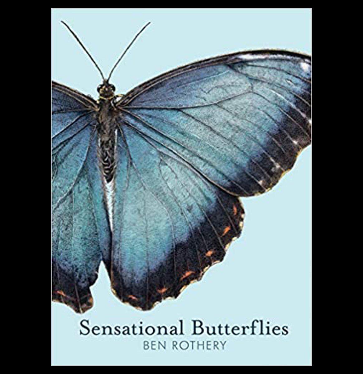 Beautiful Butterfly Decorations for Home & Garden - Realistic Butterfly Wall Art & Party Supplies