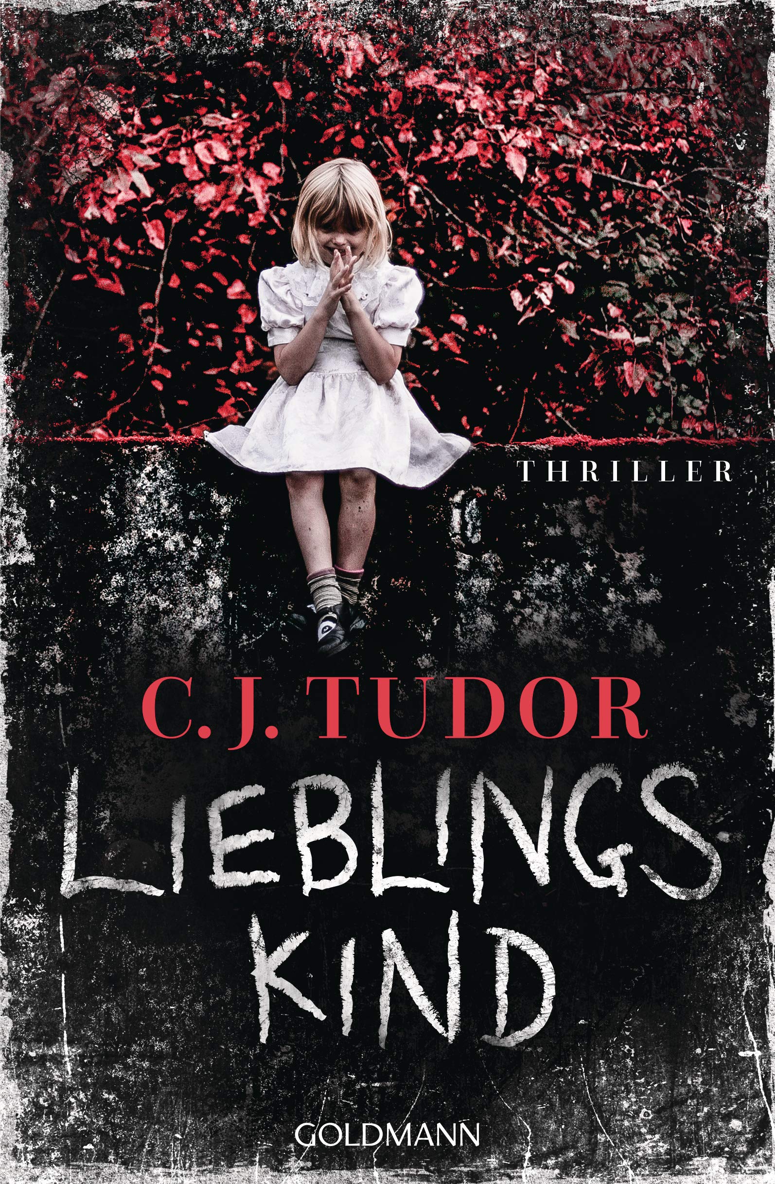 Lieblingskind Thriller Book - Perfect for Mystery Lovers