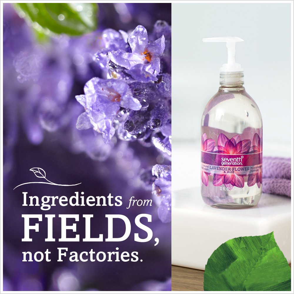 Seventh Generation Lavender Flower & Mint Hand Wash, 12oz - Gentle & Natural Soap for Kitchen, Bathroom & Sensitive Skin