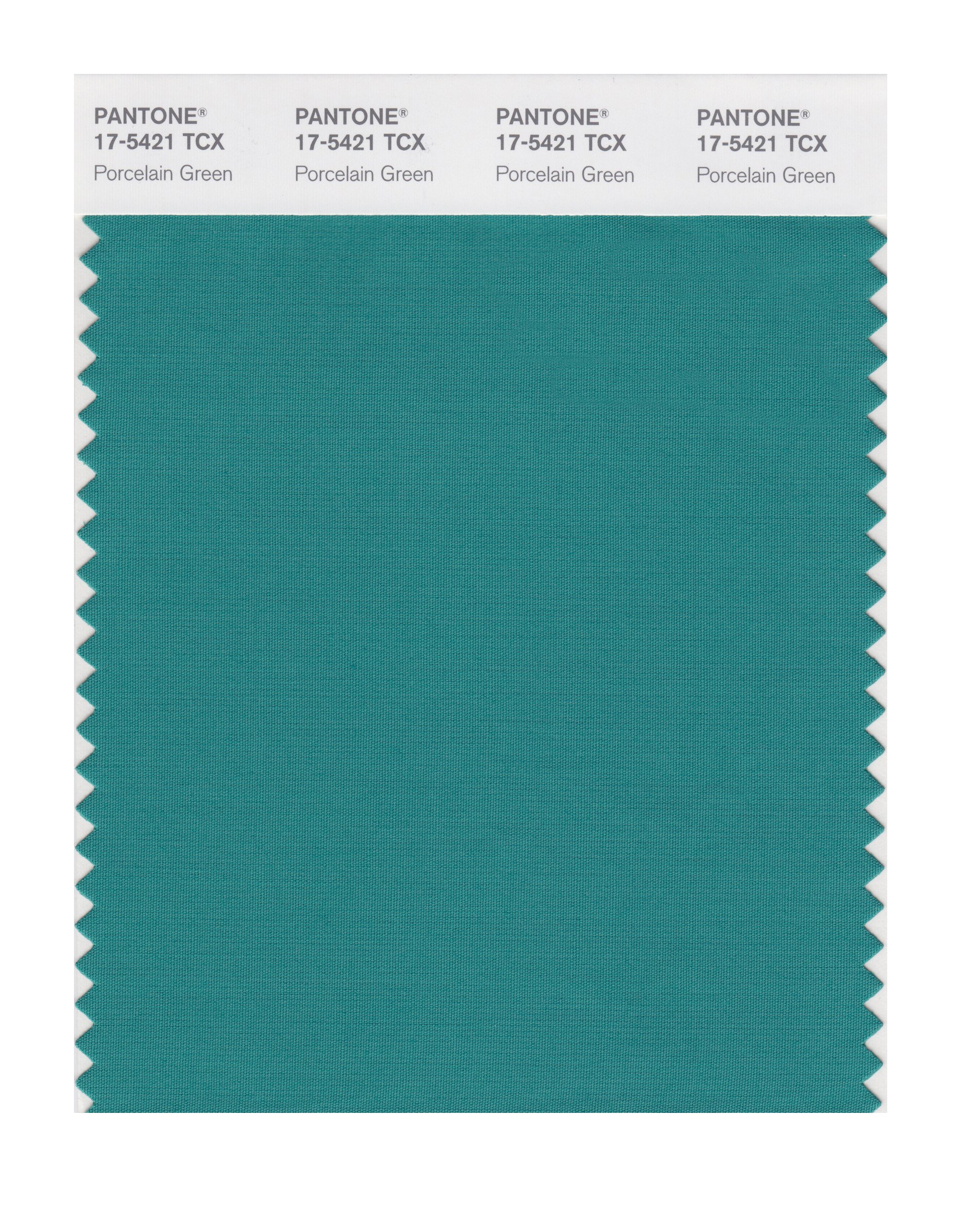 PANTONE Smart 17-5421X Porcelain Green Color Swatch Card | Premium Color Matching Tool for Graphic Design, Printing & Branding | Perfect for Designers, Artists and Creative Professionals
