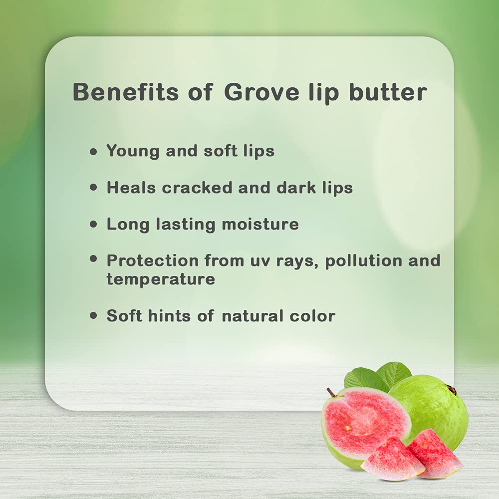 Grove Natural Lip Balm with Shea Butter, Coconut Oil & Vitamin E - Hydrating Lip Care for Dry & Chapped Lips - Moisturizing Lip Butter for Men & Women - 6g Stick (Guava Flavor, Pack of 1) | Perfect for Daily Use, Travel & Winter Lip Protection