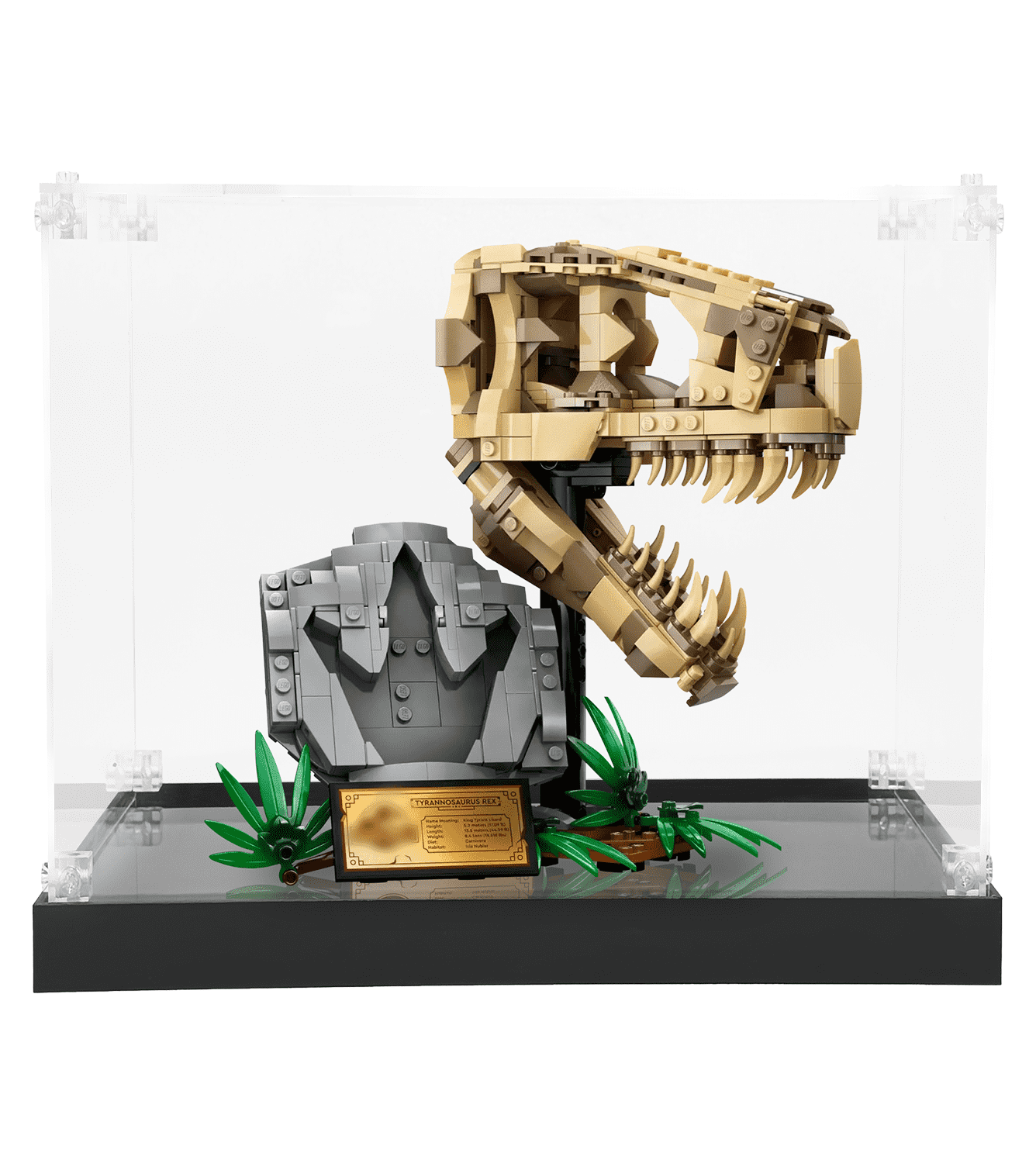 LEGO Dinosaur Fossils Display Case for T. rex Skull 76964 - Perfect for Showcasing Collectible LEGO Sets at Home or Office