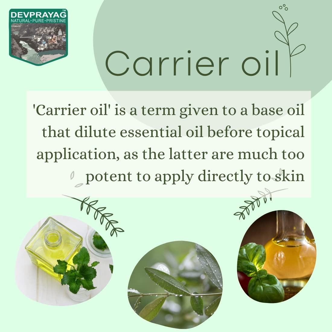 Pure Green Tea Oil (Camellia sinensis) - 100% Natural, Therapeutic Grade, Cold Pressed, Fragrance-Free - 30ml - For Aromatherapy, Skin Care & Relaxation