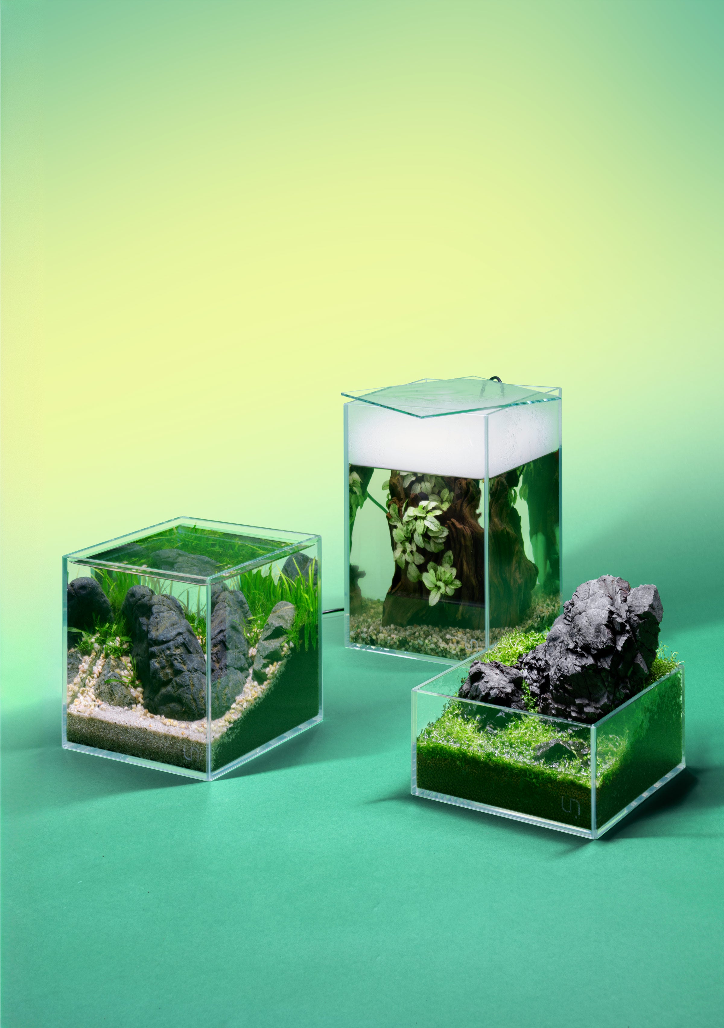 Premium UNS Rimless Tall Glass Aquarium Tank - 10 Gallon Clear Fish Tank for Nano Shrimp & Betta Fish - Perfect for Home Office Desk & Living Room Decor