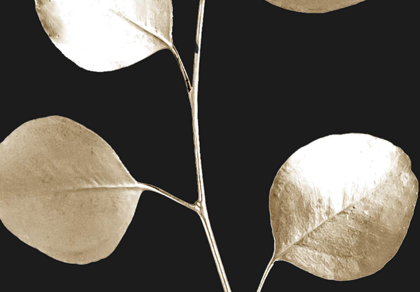 Artgeist Acoustic Canvas Wall Art - 3 Panel Soundproofing Decor with Branch Leaves Design (53x35 inches) | Noise Reducing Foam Panels for Home Studio, Office & Bedroom | Nature Inspired Black Plant Motif Artwork