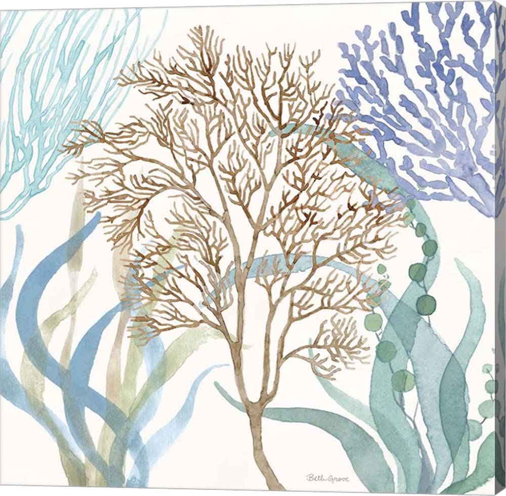 Soft Shores VII by Beth Grove - 24x24 Inch Canvas Art Wall Picture, Gallery Wrapped - Perfect for Living Room, Bedroom & Office Decor