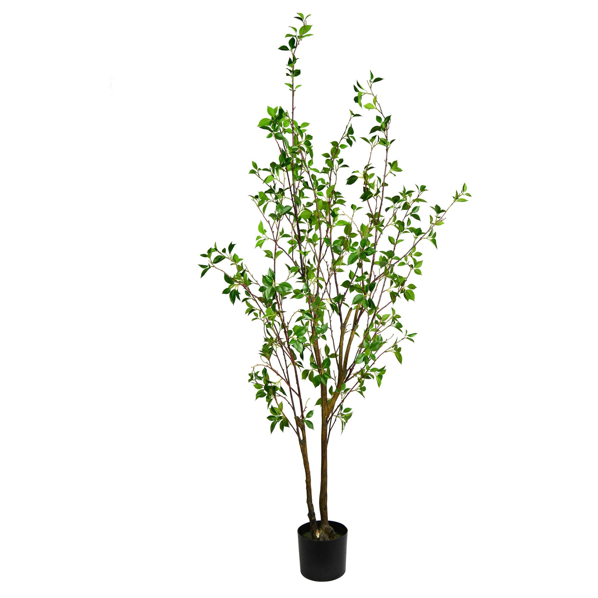 Vickerman 72