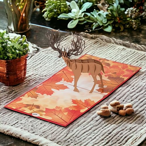 Moose
